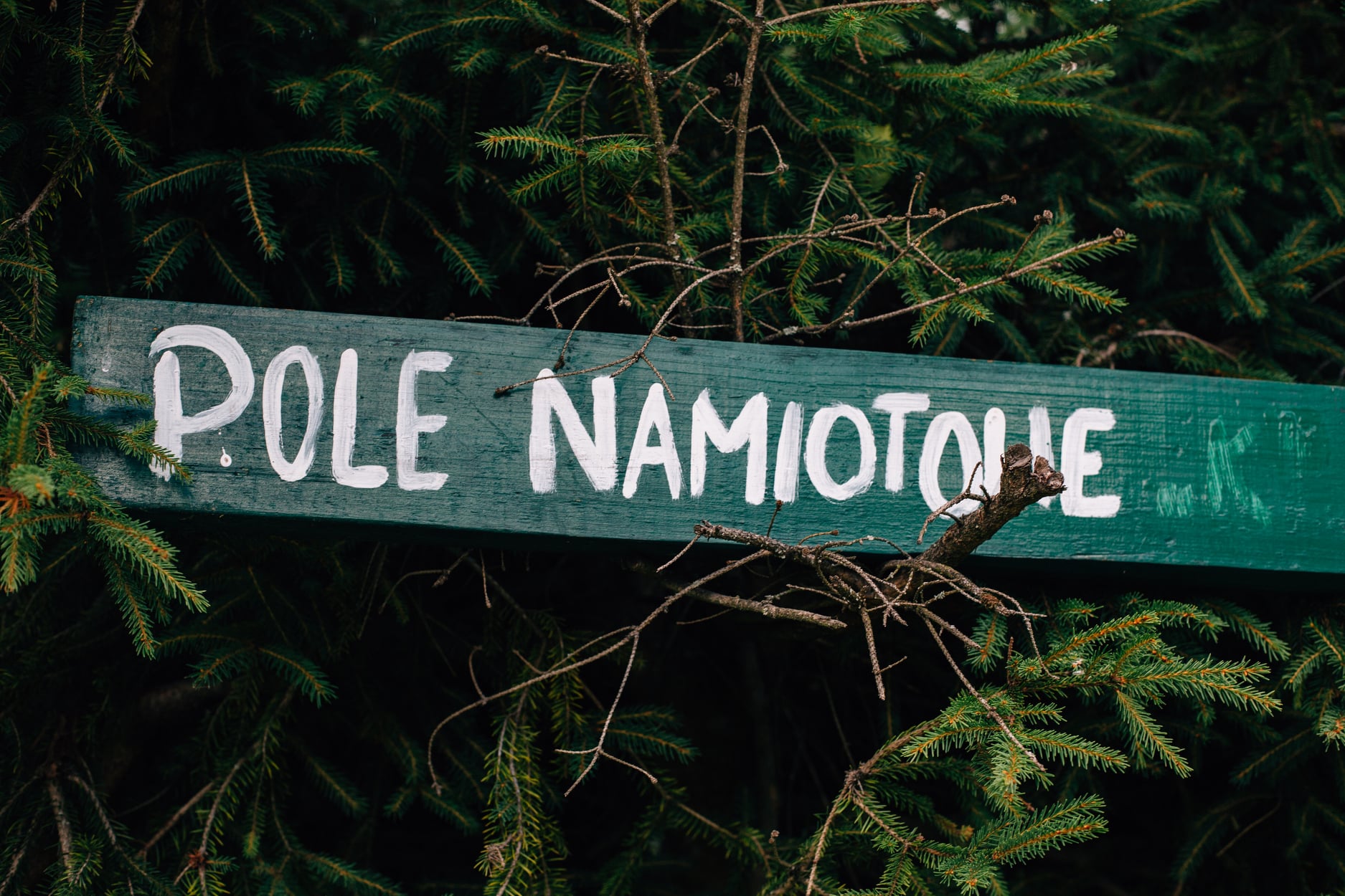 pole